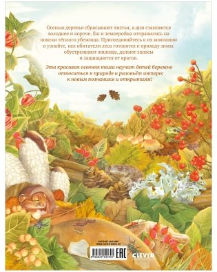 Секреты осеннего леса. Визуальная энциклопедия фото книги 11