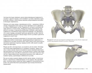 Ключевые позы йоги фото книги 11