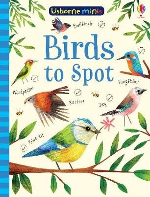Birds to Spot фото книги