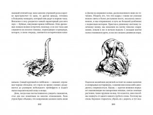 Путь кенгуренка. Поймайте мне колобуса фото книги 5