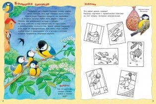 Как живут птицы? Книжка-активити с развивающими заданиями, головоломками, наклейками фото книги 2