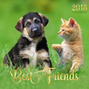 Календарь на 2018 год "Символ года. Лучшие друзья", настенный, перекидной фото книги