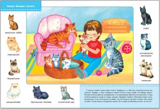 Школа семи гномов. Домашние питомцы фото книги 2