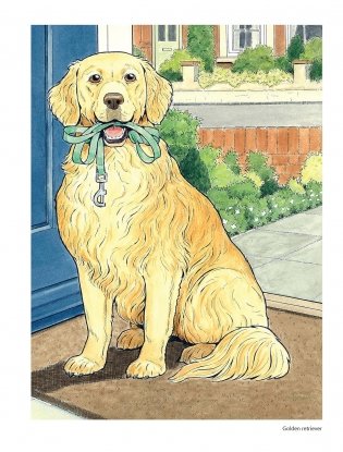 Creative Haven the Dog Lovers' Coloring Book фото книги 12