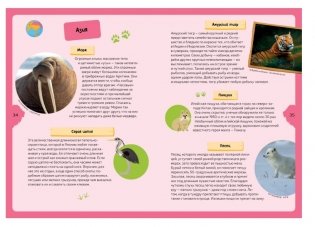 Животные планеты. Интерактивная детская энциклопедия с магнитами фото книги 8