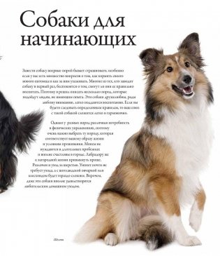 Все породы собак фото книги 6