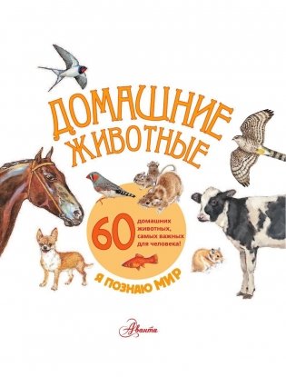 Домашние животные фото книги 2