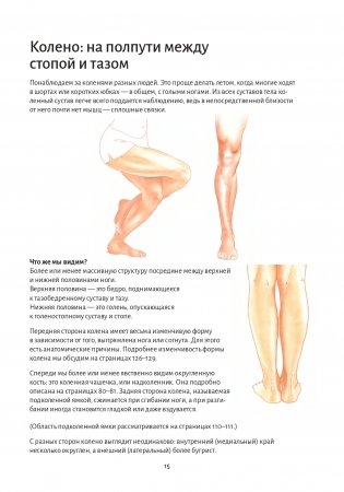 Анатомия йоги. Колени фото книги 9