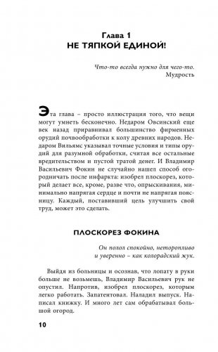 Плоскорез Фокина и другие дачные инструменты и техника, облегчающие жизнь фото книги 11