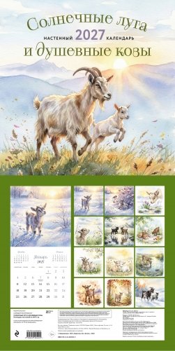 Солнечные луга и душевные козы. Календарь настенный на 2027 год (300х300) фото книги