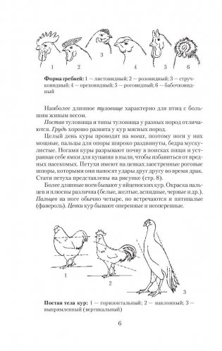 Самый полный справочник птицевода фото книги 7