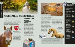 Лошади фото книги 3