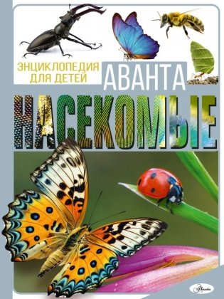 Насекомые фото книги