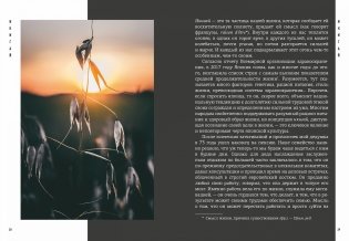 Японизм. Маленькая книга японской жизненной мудрости фото книги 5