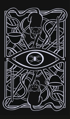 Christina Ricci's Cat Full of Spiders Tarot Deck and Guidebook фото книги 3