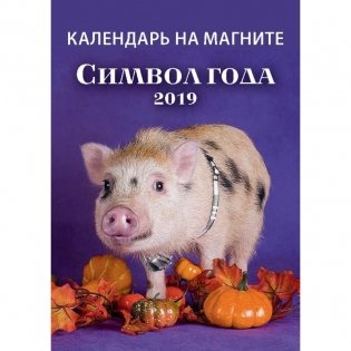 Календарь настенный на 2019 год "Символ года", на магните, 96х135 мм фото книги