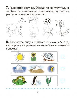 Человек и мир. 1 класс. Дидактические материалы. ГРИФ фото книги 6