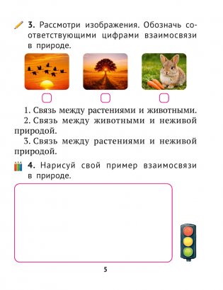 Человек и мир. 2 класс. Рабочая тетрадь фото книги 4