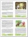 Садовая дверца фото книги маленькое 4
