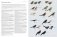 HBW and Birdlife International Illustrated Checklist of the Birds of the World Vol.2 фото книги маленькое 6