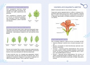 Растения вокруг нас фото книги 7