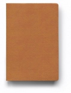 Записная книжка "Яркий акцент-4", А5, 120 листов фото книги