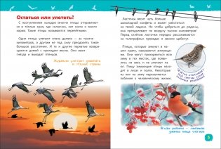 Птицы. Энциклопедия для детского сада фото книги 3