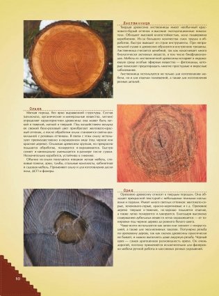 Большая энциклопедия мастера золотые руки фото книги 11