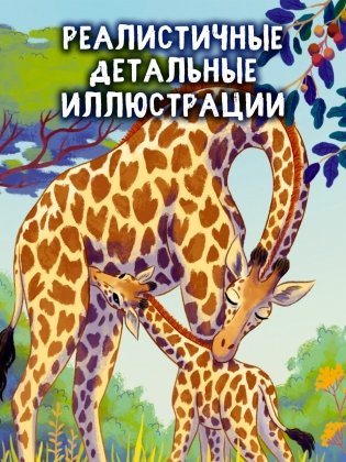 Малышка жираф. Приключения в саванне фото книги 4