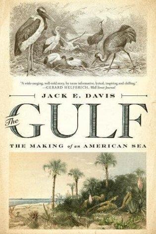 The Gulf фото книги