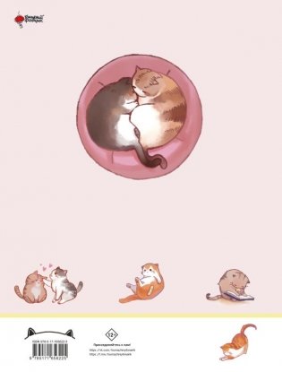 Твой котик: магия ухода. Все о том, как всегда понимать кошку и завести крепкую дружбу на всю жизнь. фото книги 3