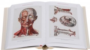 Bourgery. Atlas of Human Anatomy and Surgery фото книги 5