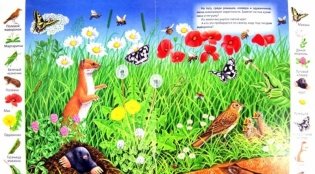 На лугу и в поле фото книги 2