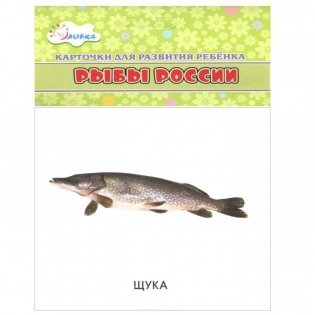 Рыбы России (набор из 12 карточек) фото книги