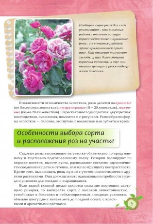 Розы в вашем саду фото книги 4