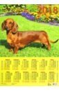 Календарь настенный на 2018 год "Год собаки. Такса в саду" фото книги