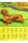 Календарь настенный на 2018 год "Год собаки. Такса в саду" фото книги маленькое 2