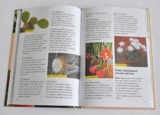 Все о комнатных растениях фото книги 3