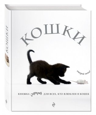 Кошки. Книжка-сюрприз для всех, кто влюблен в кошек фото книги