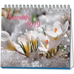 Календарь-домик настольный на 2019 год "Времена года", 120x110 мм фото книги