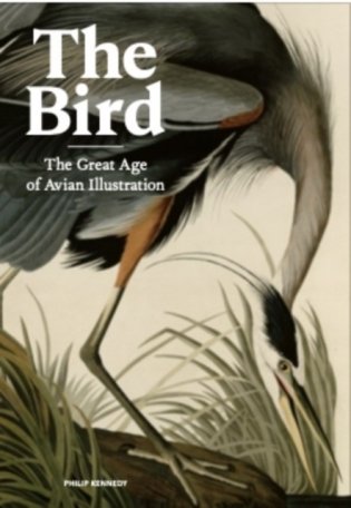 The Bird: Ornithological Art from the Age of Exploration фото книги