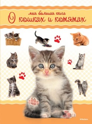 Моя большая книга о кошках и котятах фото книги