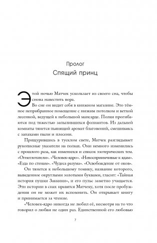 Фрактальный принц фото книги 8