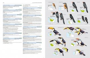 HBW and Birdlife International Illustrated Checklist of the Birds of the World Vol.1 фото книги 5