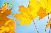 Календарь квартальный на 2017 год "Осенняя фантазия" фото книги