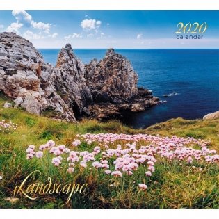 Календарь настенный перекидной на 2020 год "Прекрасный горизонт", 315x580 мм фото книги