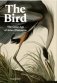 The Bird: Ornithological Art from the Age of Exploration фото книги маленькое 2