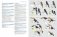 HBW and Birdlife International Illustrated Checklist of the Birds of the World Vol.1 фото книги маленькое 6