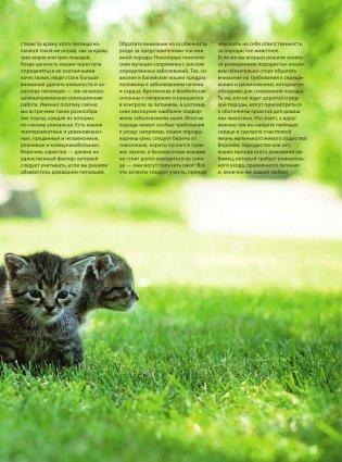 Кошки. Самая полная иллюстрированная энциклопедия фото книги 6