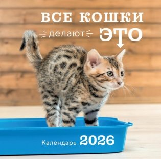 Все кошки делают это. Календарь настенный на 2026 год фото книги